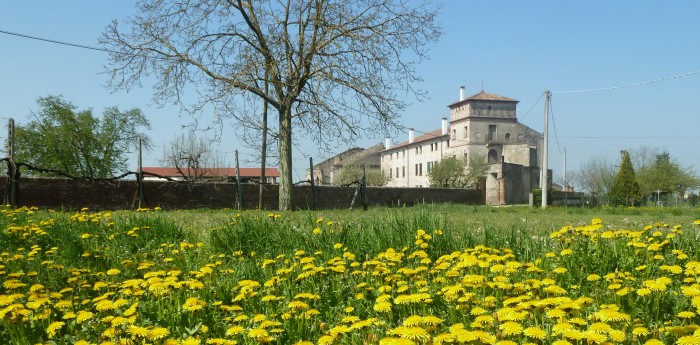 gorghi alto polesine