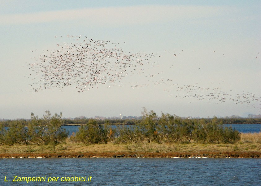 ciaobici Delta Po Nord 002