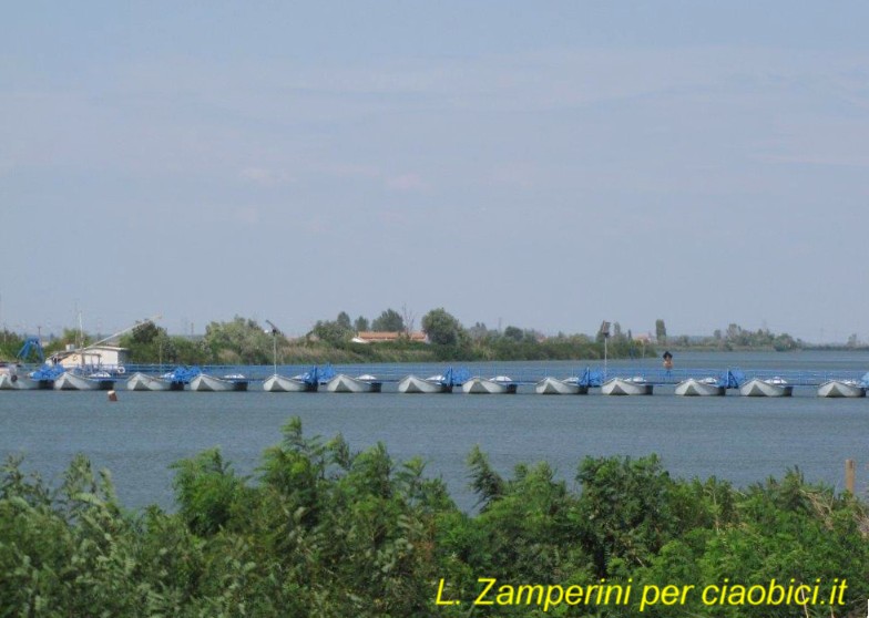 Ciaobici Po di Gnocca