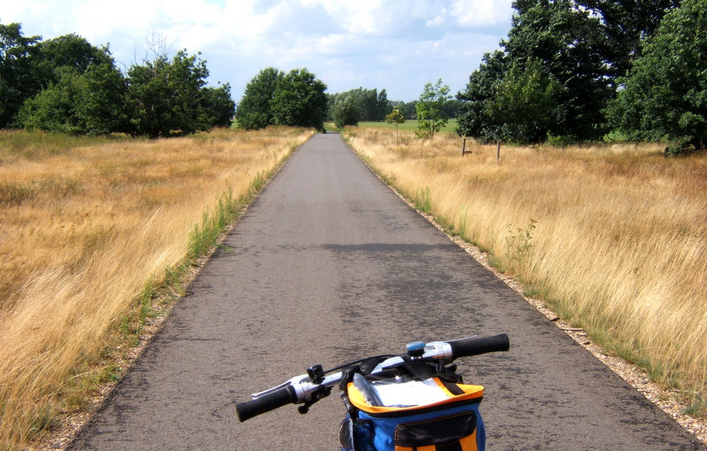 elberadweg primo 08