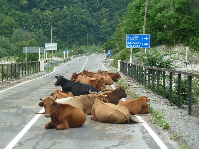 ciaobici georgia svaneti18