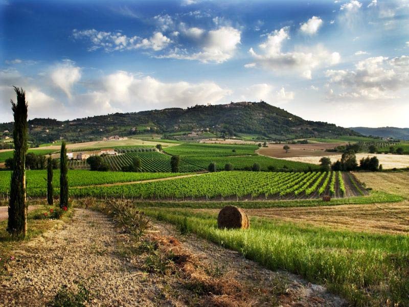 Val d Orcia e Montalcino Foto Giuseppe Sanfilippo