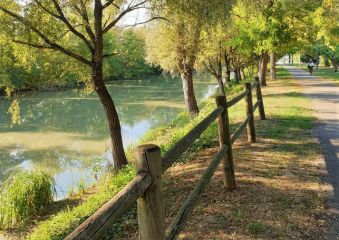 Da Ferrara a Bondeno, la ciclabile lungo il canale Burana, meta per amanti della natura