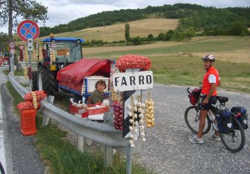 7-colfiorito