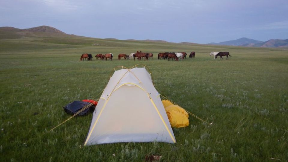 Itinerario in bicicletta in Mongolia, steppa amica, amici della steppa (seconda parte)