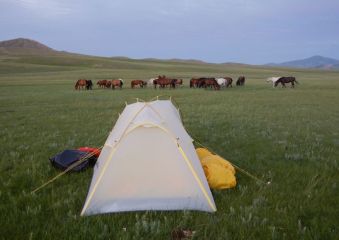 Itinerario in bicicletta in Mongolia, steppa amica, amici della steppa (seconda parte)