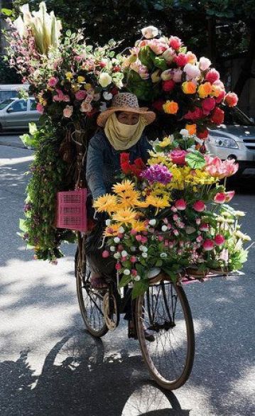 bici in fiore