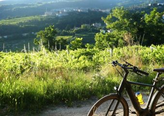 Le E-bike sono Ideali per il gli Spostamenti Quotidiani? Come Scegliere la Propria E-bike?